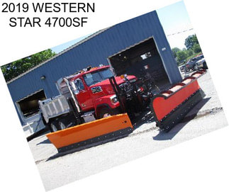 2019 WESTERN STAR 4700SF