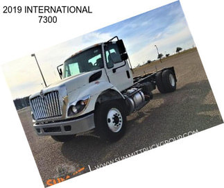 2019 INTERNATIONAL 7300