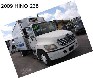 2009 HINO 238