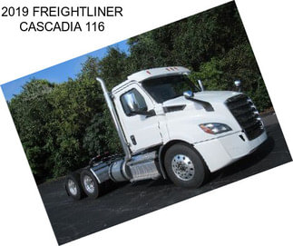 2019 FREIGHTLINER CASCADIA 116