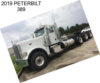 2019 PETERBILT 389