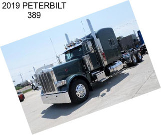 2019 PETERBILT 389