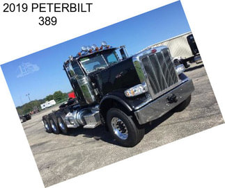 2019 PETERBILT 389