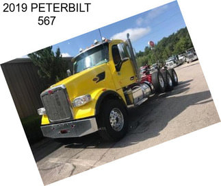 2019 PETERBILT 567