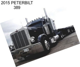 2015 PETERBILT 389