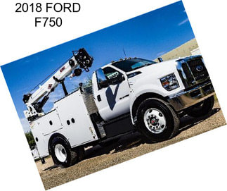 2018 FORD F750