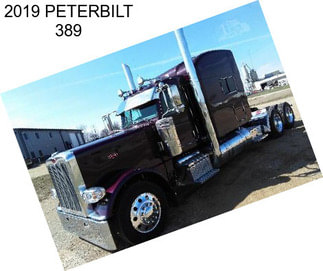 2019 PETERBILT 389