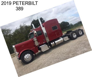 2019 PETERBILT 389