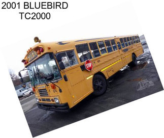 2001 BLUEBIRD TC2000