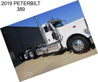 2019 PETERBILT 389