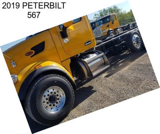 2019 PETERBILT 567