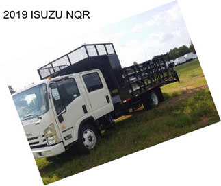 2019 ISUZU NQR