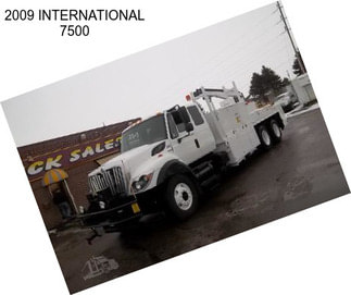 2009 INTERNATIONAL 7500