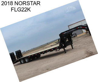 2018 NORSTAR FLG22K