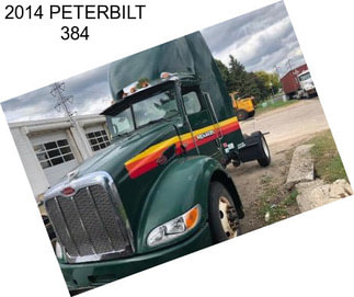 2014 PETERBILT 384