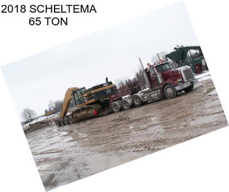 2018 SCHELTEMA 65 TON