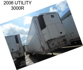 2006 UTILITY 3000R