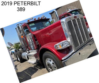 2019 PETERBILT 389