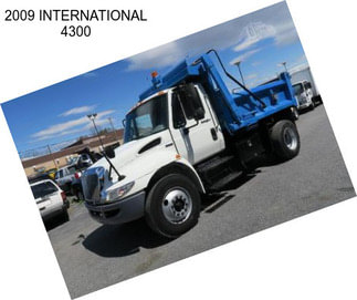 2009 INTERNATIONAL 4300