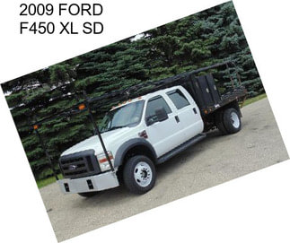 2009 FORD F450 XL SD