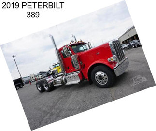 2019 PETERBILT 389