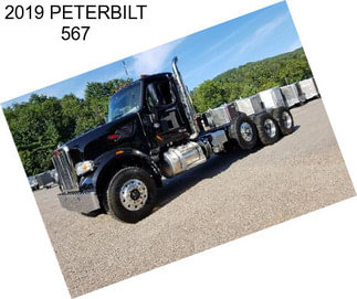 2019 PETERBILT 567