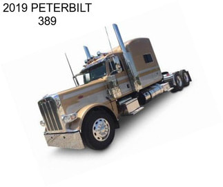 2019 PETERBILT 389