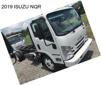 2019 ISUZU NQR