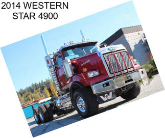 2014 WESTERN STAR 4900