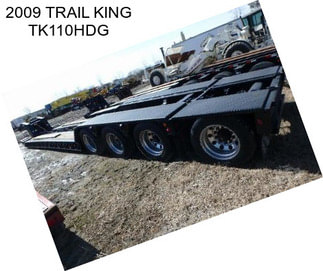 2009 TRAIL KING TK110HDG