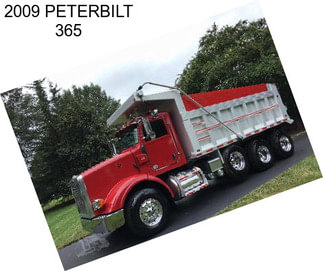 2009 PETERBILT 365