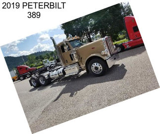 2019 PETERBILT 389