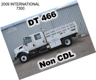 2009 INTERNATIONAL 7300