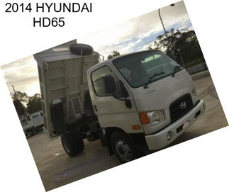 2014 HYUNDAI HD65