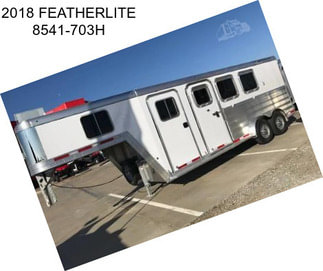 2018 FEATHERLITE 8541-703H