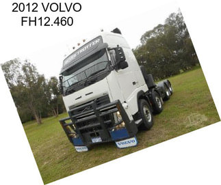 2012 VOLVO FH12.460