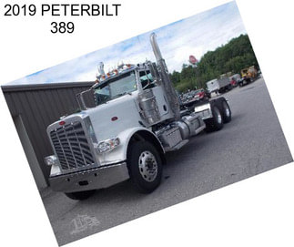 2019 PETERBILT 389