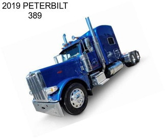 2019 PETERBILT 389