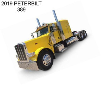 2019 PETERBILT 389