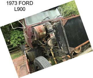 1973 FORD L900
