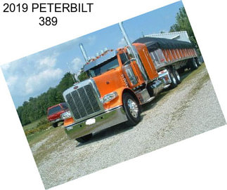 2019 PETERBILT 389