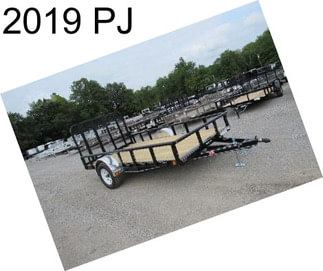 2019 PJ