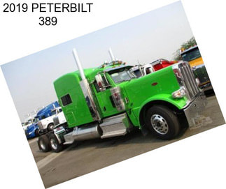 2019 PETERBILT 389