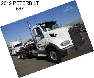 2019 PETERBILT 567