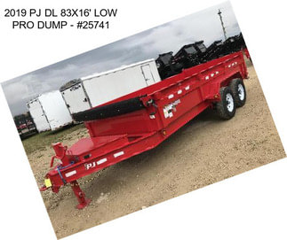 2019 PJ DL 83\