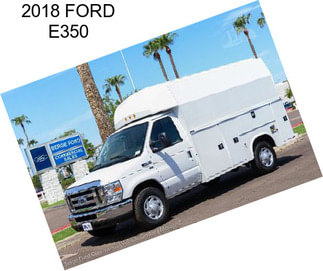 2018 FORD E350