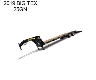 2019 BIG TEX 25GN