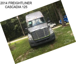 2014 FREIGHTLINER CASCADIA 125