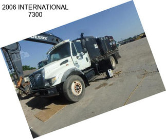 2006 INTERNATIONAL 7300