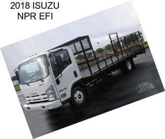 2018 ISUZU NPR EFI